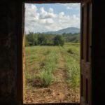 Agricultural land Tamara: A Lucrative Investment Opportunity in Morocco